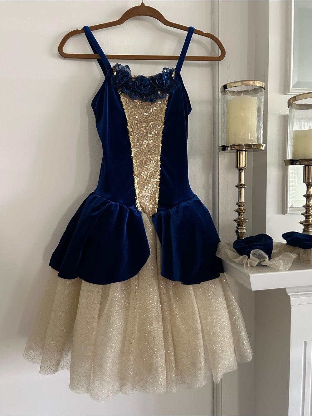 Revolution Blue and Gold Costume